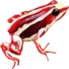 Эмодзи Frogs