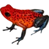 Эмодзи Frogs