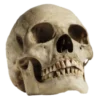Эмодзи death
