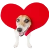 Эмодзи Dogs