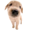 Эмодзи Dogs