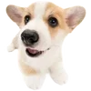 Эмодзи Dogs