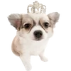 Эмодзи Dogs