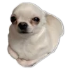 Эмодзи Dogs