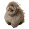 Эмодзи Dogs