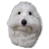 Эмодзи Dogs