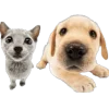 Эмодзи Dogs and Cats