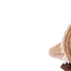 Эмодзи ( 🥛; ) 𝑐𝘩𝘰𝘤𝘰 𝗆𝗂𝗇𝗍 —