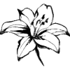 Эмодзи adaptive →