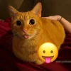 Эмодзи Cats
