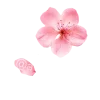 Эмодзи ⋆.˚ 🌷 𖦹 fairy club 🧚🏻‍♀️ ⋆˚࿔ ⊹