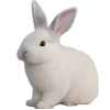 Эмодзи февраль