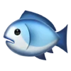 fish reaction