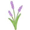 Floppi