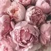 Эмодзи Flowers