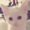 Эмодзи for mar llgg by sofiemoji