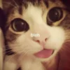 Эмодзи for mar llgg by sofiemoji