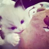 Эмодзи for mar llgg by sofiemoji