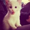 Эмодзи for mar llgg by sofiemoji
