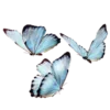 Эмодзи Windows