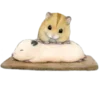 Эмодзи Gotte