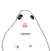 Hamsters
