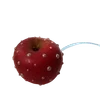 ╔═ஓ๑ 𝕡𝕠𝕞𝕖𝕘𝕣𝕒𝕟𝕒𝕥𝕖 ๑ஓ═╗ ✾⋅⋆⋄ ⋅⋆⋄✾