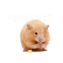 Эмодзи хомяки