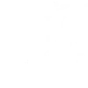 Hollow Knight