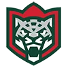 Эмодзи KHL emoji