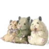 Хомяки