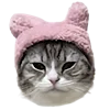 Эмодзи kittens