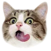 Эмодзи kittens