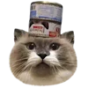 Эмодзи kittens