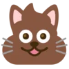 Коты