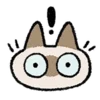Котики