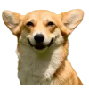 Эмодзи Корги
