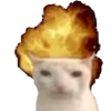 Эмодзи Котики