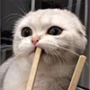 Эмодзи Кот