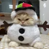 Эмодзи Котики