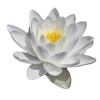 Эмодзи Flowers