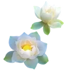 Эмодзи Flowers