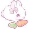 Эмодзи ʚ cute rαbbit 𝜗ৎ ɞ