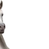 Эмодзи Лошади