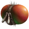 Эмодзи Roblox