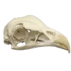Эмодзи merzko