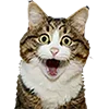 Эмодзи Microcats