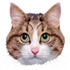 Эмодзи Microcats