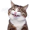Эмодзи Microcats