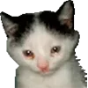 Эмодзи Microcats